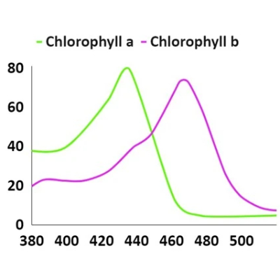 Industry and Science Applications