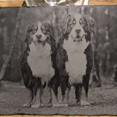 Laser Engraved Stone 2