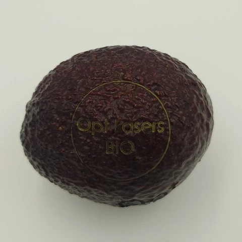 Dark Avocado Fruit Food Labeling with Blue Galvo Laser Engraver