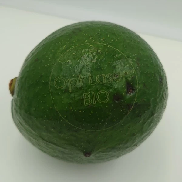 Organic Green Avocado Fruit Food Labeling with Blue Galvo Laser Engraver