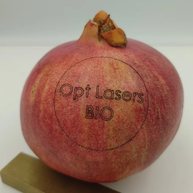 Pomegranate Fruit Food Labeling with Blue Galvo Laser Engraver