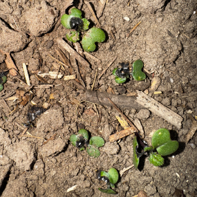 Laser system in action 3