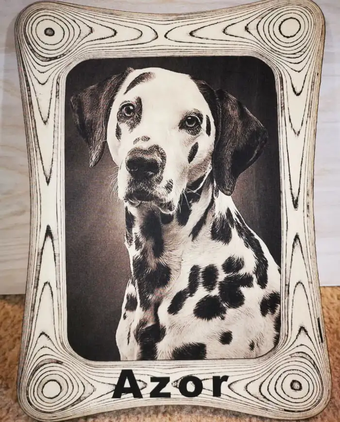 Laser Engraved Plywood Showing a Portrait of a Cute Dalmatian Dog Engraved with Remarkable Ultra HD Precision