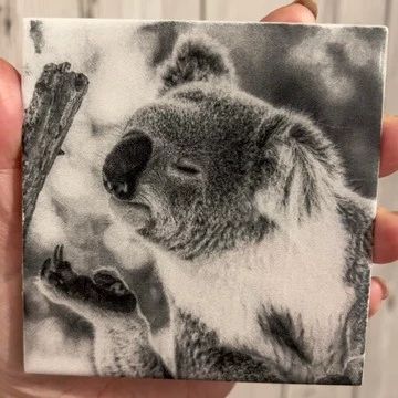 Koala Laser Engraved on Ceramic Tile